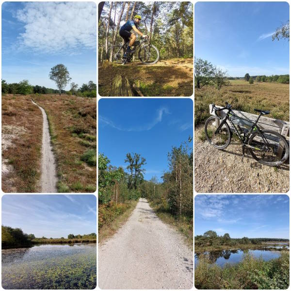 Limburgse Heide