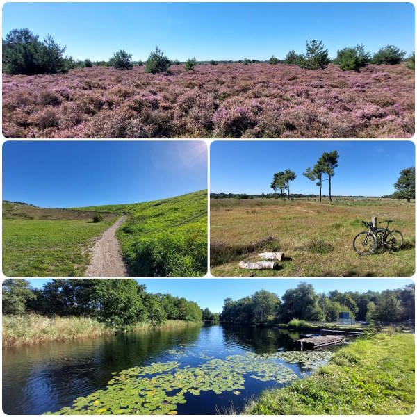 PlugPlug Groote Heide