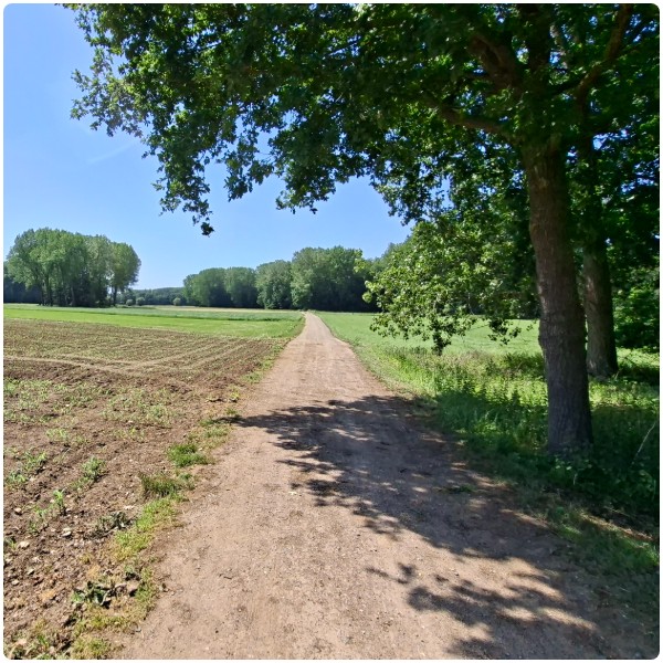 Gravel Blaarmeersen