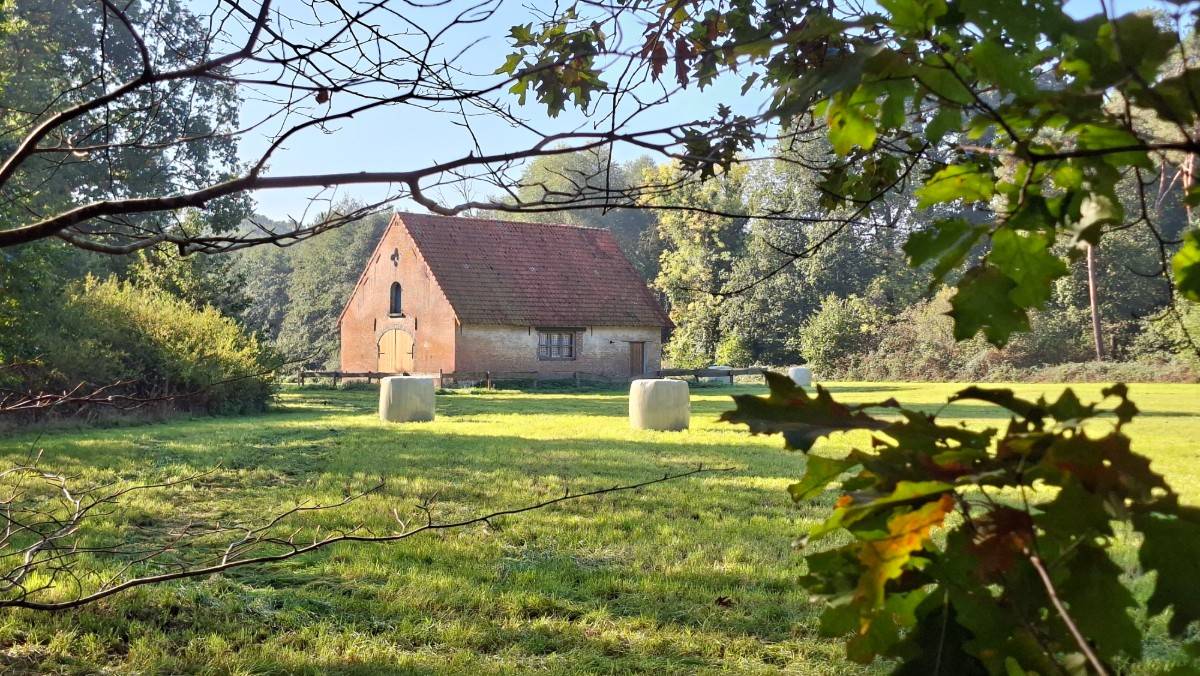 Sfeerfoto BK Gravel Grobbendonk