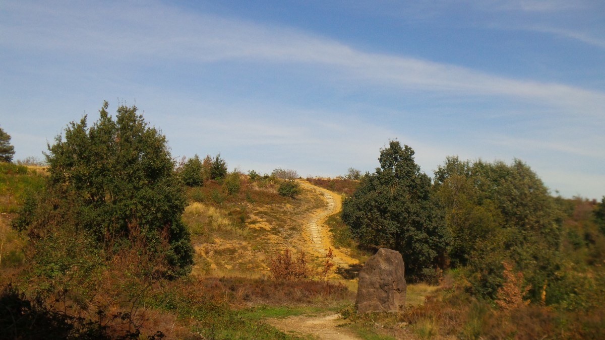 Sfeerfoto NPHK Gravel